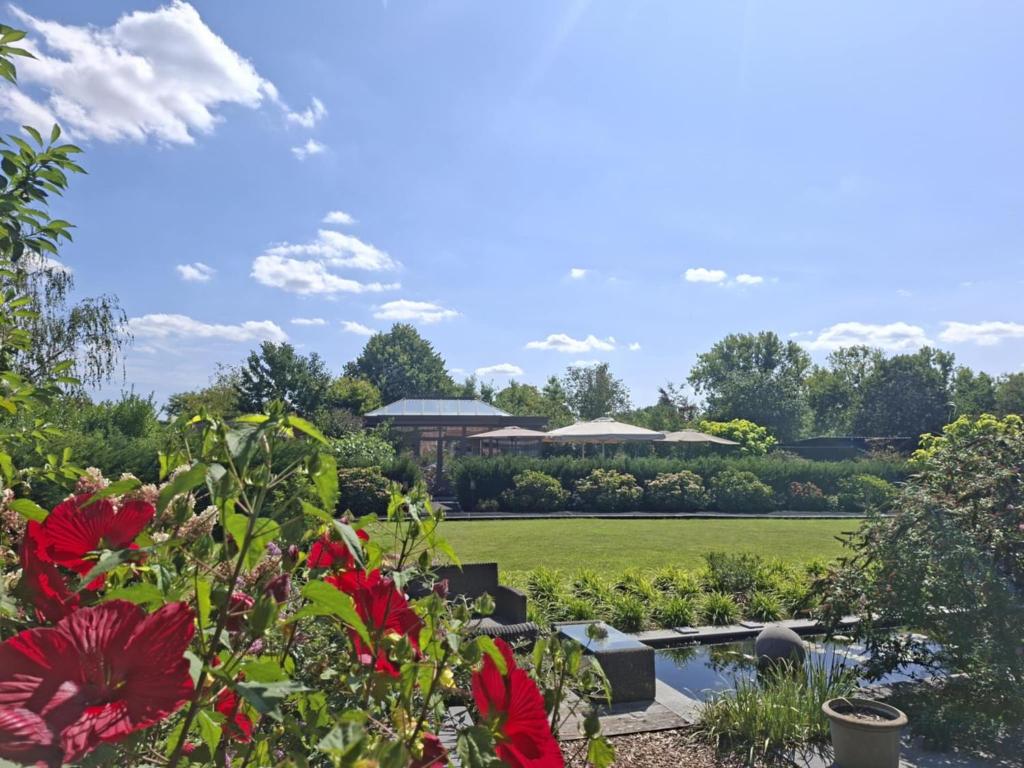 a garden with red flowers and a pond at B&B Welcome Home in Laakdal
