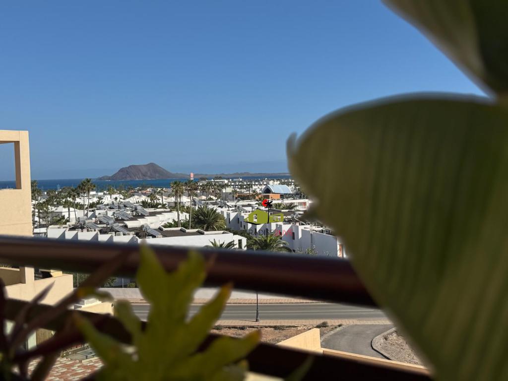 Ocean View