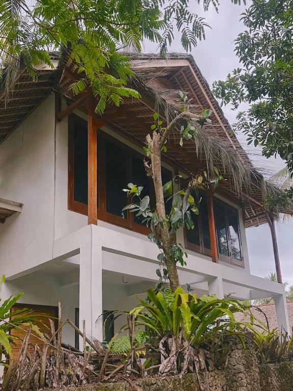 a house with a tree in front of it at Wa'a House Batukaras in Batukaras