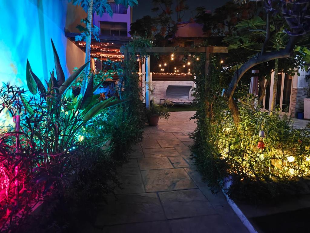 a garden lit up at night with lights at Mamas Summer House in Larnaca