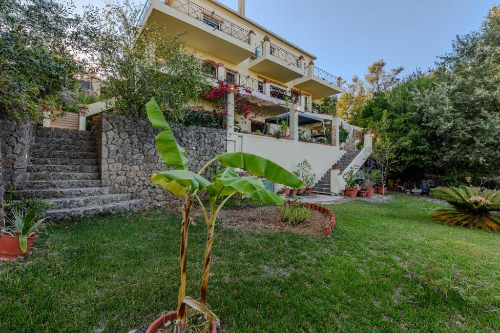 a plant in the yard of a house at Aerino House in Dassia