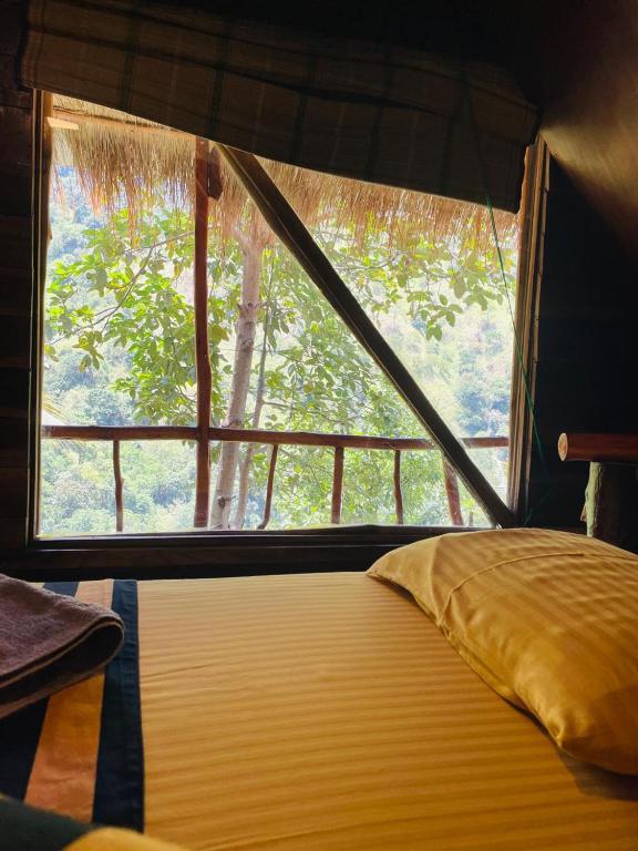 Mount Wood Ella - 12