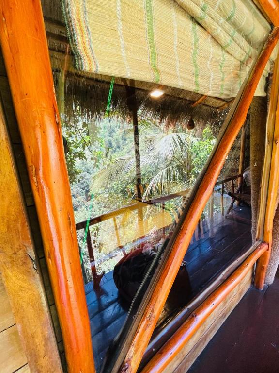 Mount Wood Ella - 11