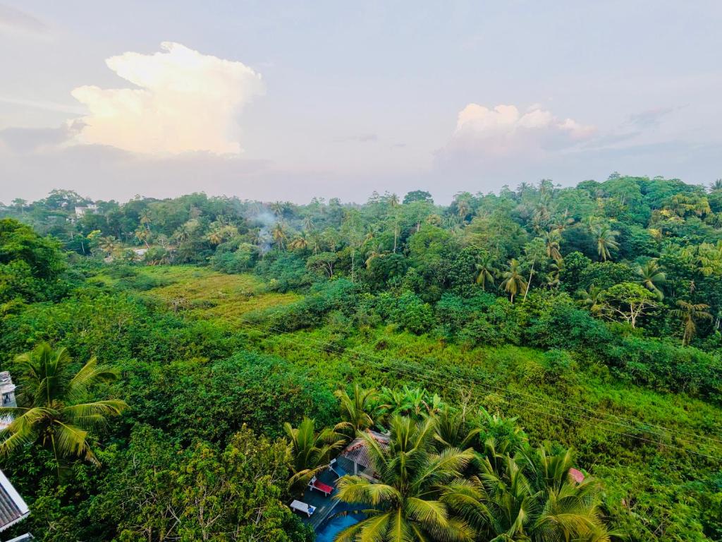 Tiny Royal Palace - 19