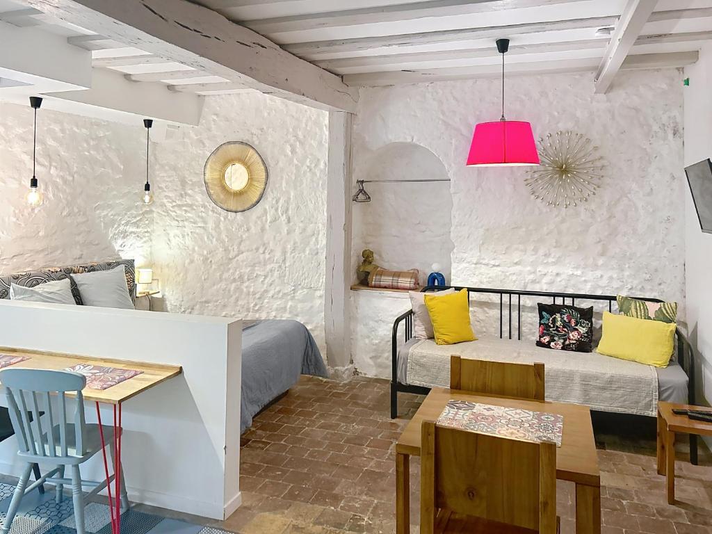 Appartement spacieux avec une vue sur Tours ( 38m²) -Gite de Bellevue - Hizvo