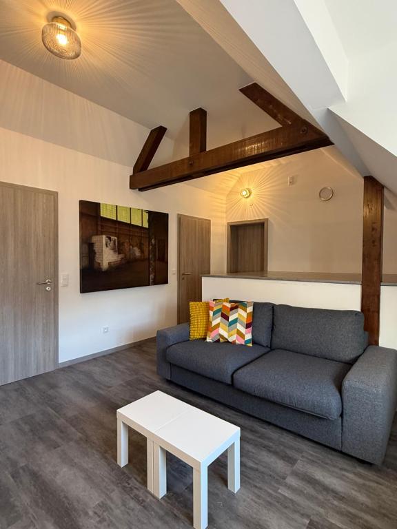 Maison Bleue, Appartements Thann centre, proche vignoble, terrasse avec vue – photo 21