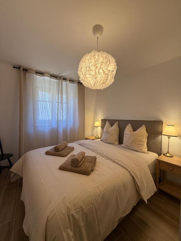 Maison Bleue, Appartements Thann centre, proche vignoble, terrasse avec vue – photo 22