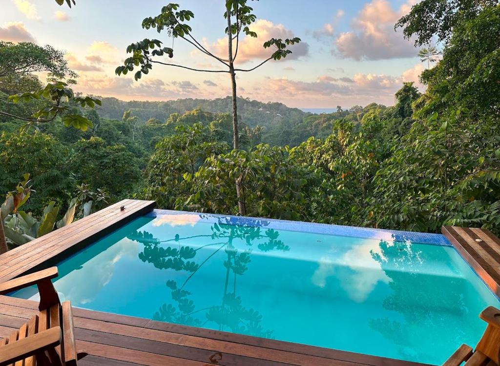 a swimming pool with a view of the forest at Southern Drake Lodge in Drake