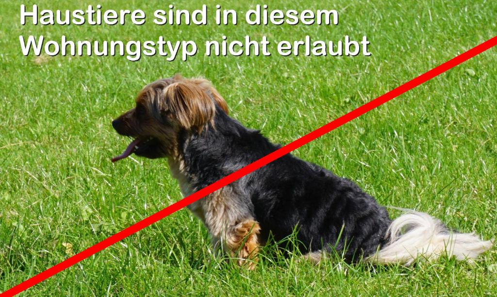 Aritee Apartments Sonnenschein - 2