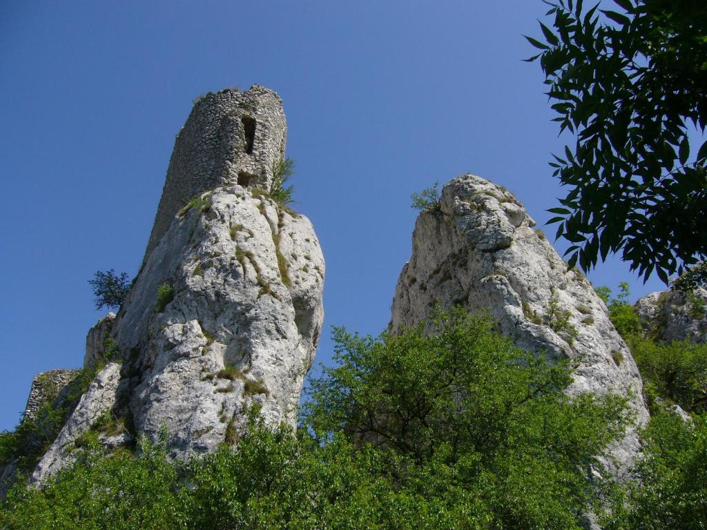 Příroda nedaleko apartmánu