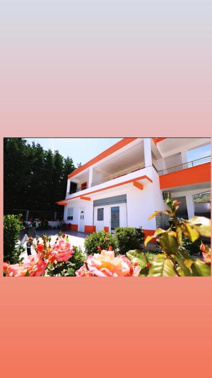 a house with a lot of flowers in front of it at Villa LIKAJ in Berat