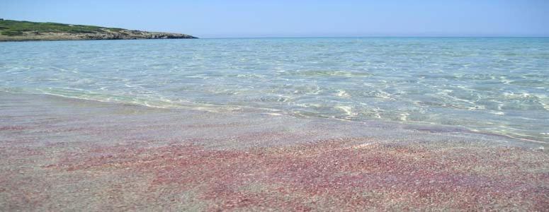 une plage d'eau avec des algues roses dans l'établissement Affittacamere la Medusa, à Porto Pino
