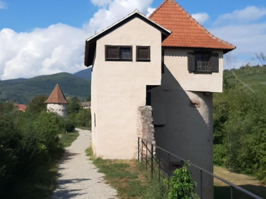 Gîte charmant au calme, 2 personnes, proche vignobles et châteaux, animaux acceptés, terrasse jardin - FR-1-744-33 – photo 36