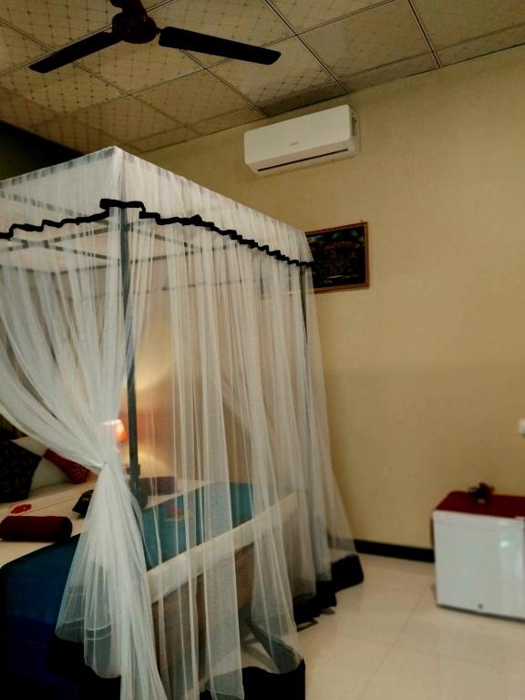 Green Bamboo House - 6