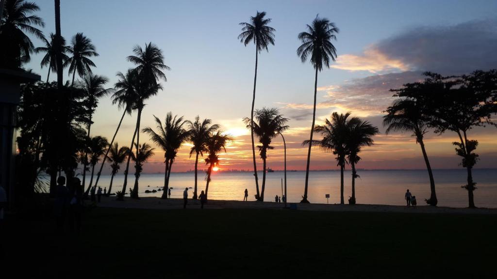 a group of palm trees on a beach at sunset at Nuvasa Bay Studio Apartment 6A10 in Nongsa