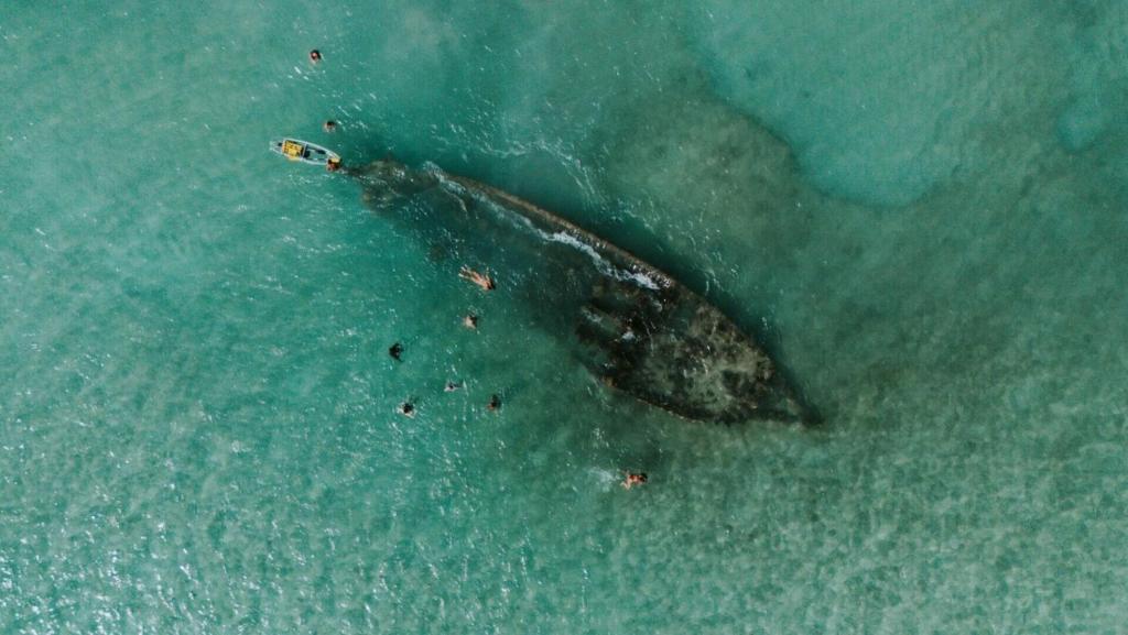 a turtle in the ocean with people in the water at Darocotan Shipwreck Camping in El Nido