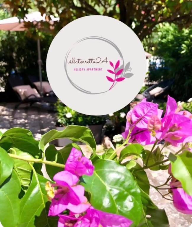 a frisbee is flying over some pink flowers at Appartamento villatorretta24 in Riva del Garda