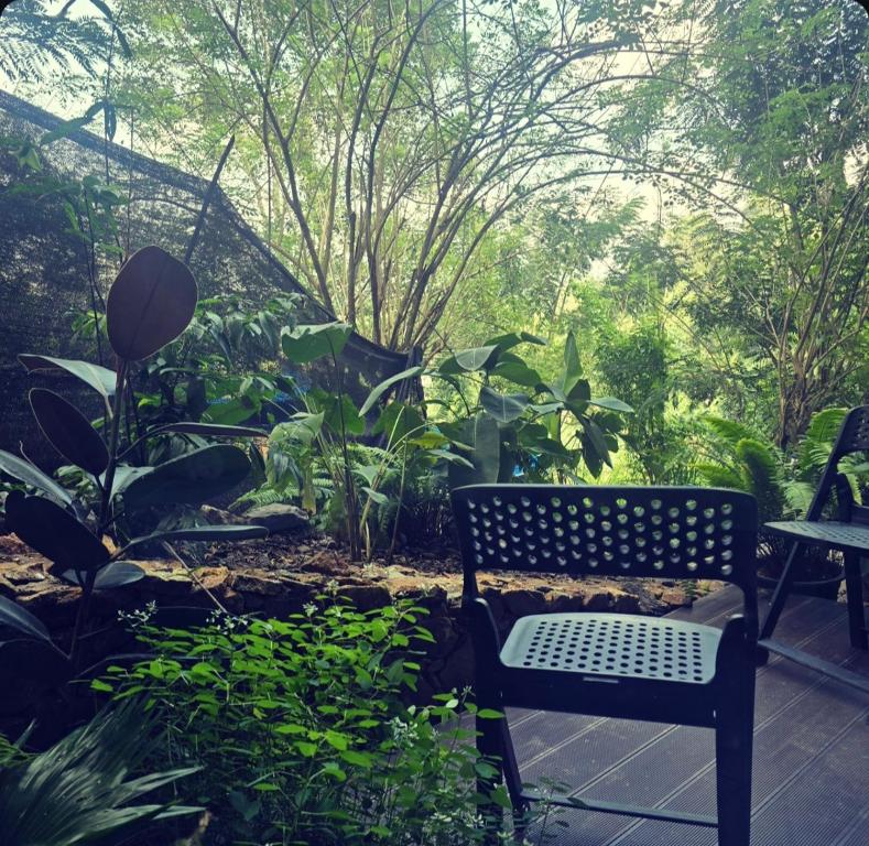 Namara Green Ella - 12