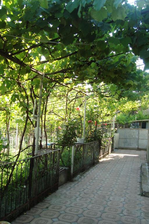 Zahrada ubytování Guesthouse Valeria