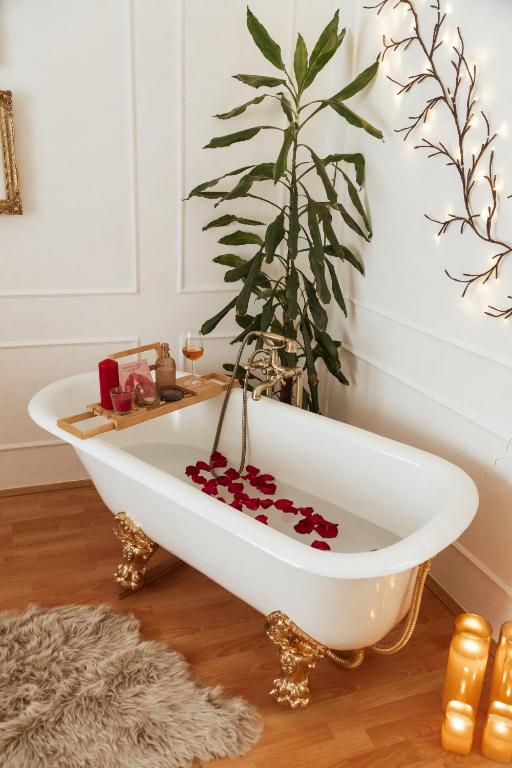 a bath tub with a potted plant in a room at Chic&Vrdnik in Vrdnik