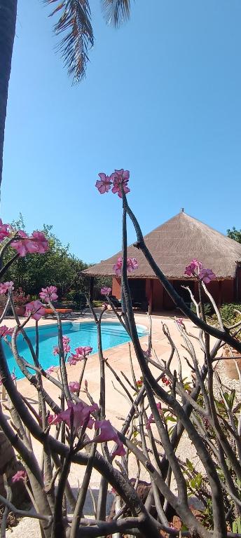 Villa Nianing