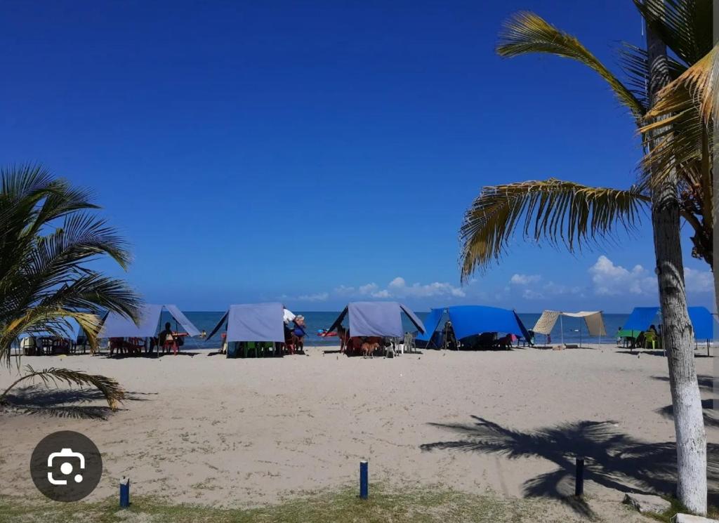 a group of tents on a beach with palm trees at punta bolivar in San Antero