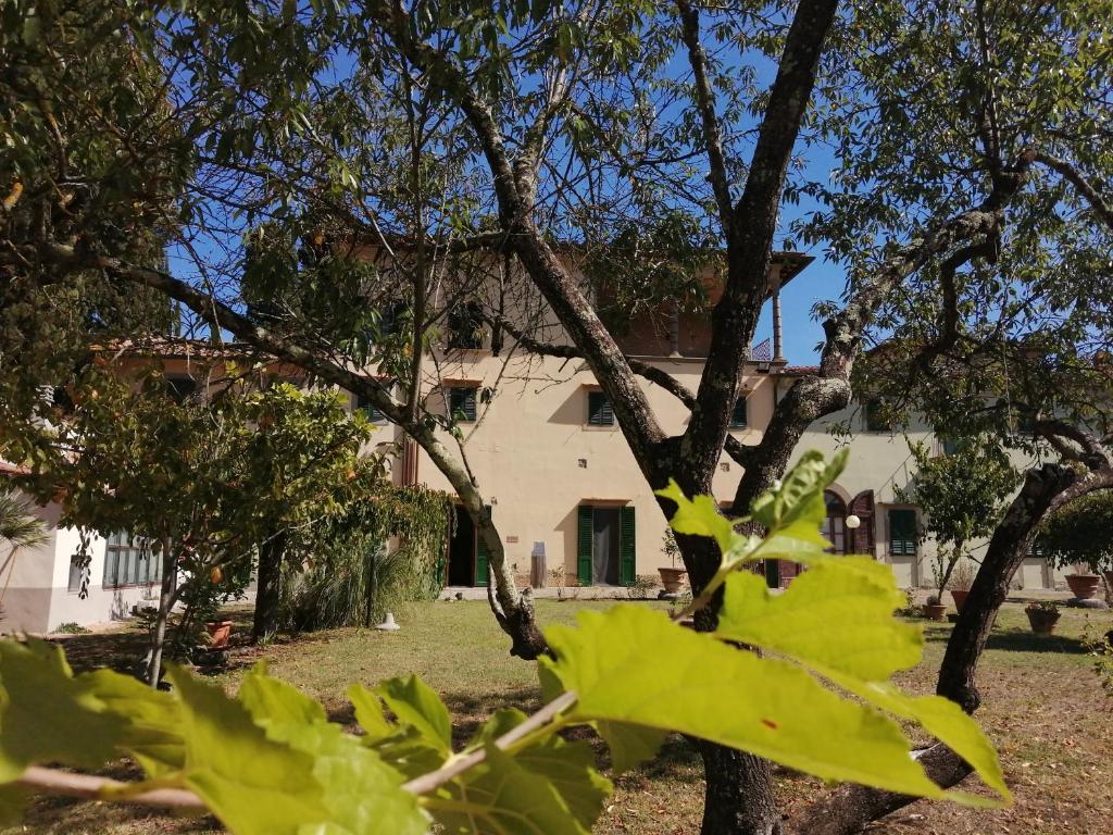 a tree with green leaves in front of a house at Casa per la Pace in Impruneta