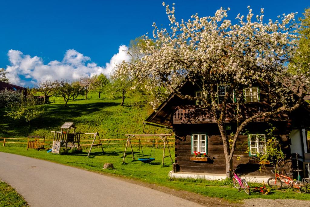 a house with a playground next to a tree at Haunzwickl Ferienhaus in Mürzzuschlag
