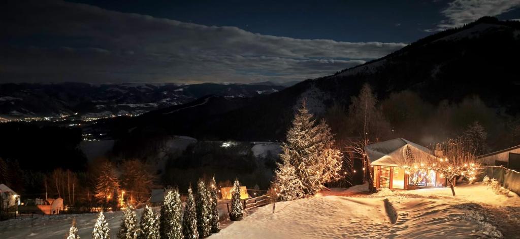a house covered in christmas lights in the snow at night at Wildglowlodge in Petroşani