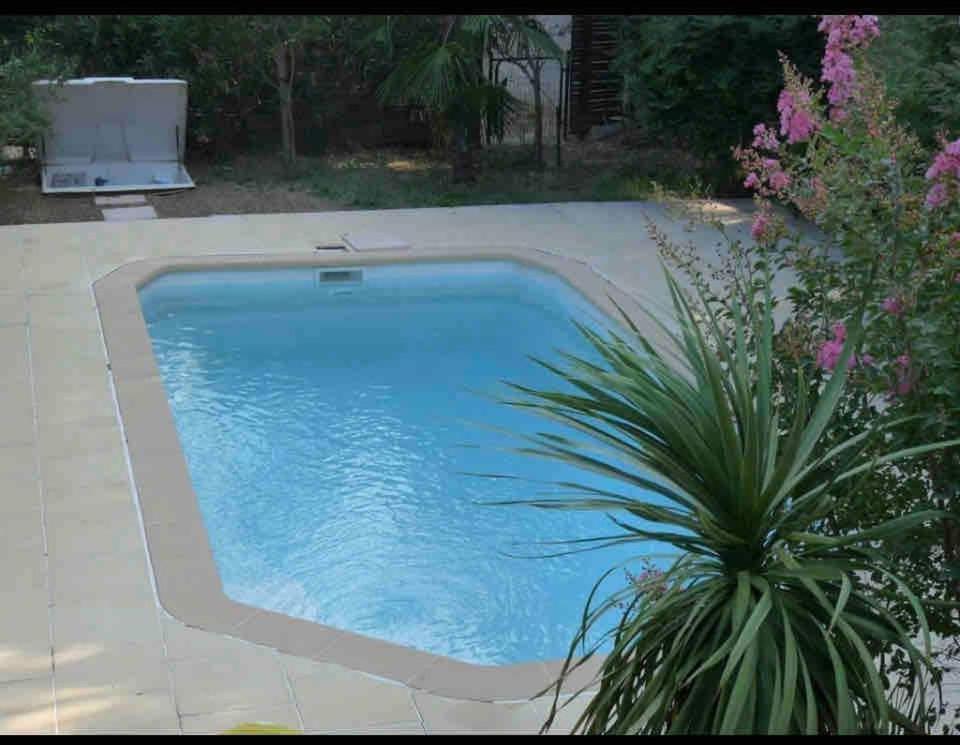 a swimming pool in a yard with a plant at Villa avec vue et piscine privée in Moltifao