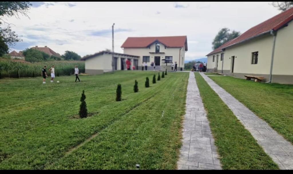 a walkway in a field with a house and people at Casa Aida in Peşteana
