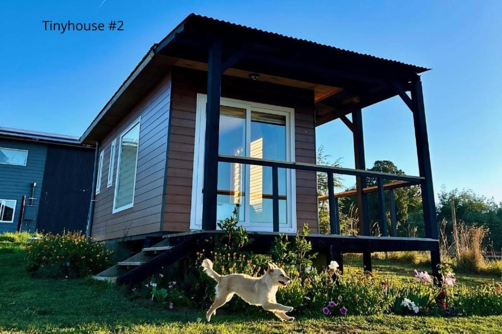 a dog running in front of a tiny house at Tinyhouses Mirador del Lago in Puerto Varas