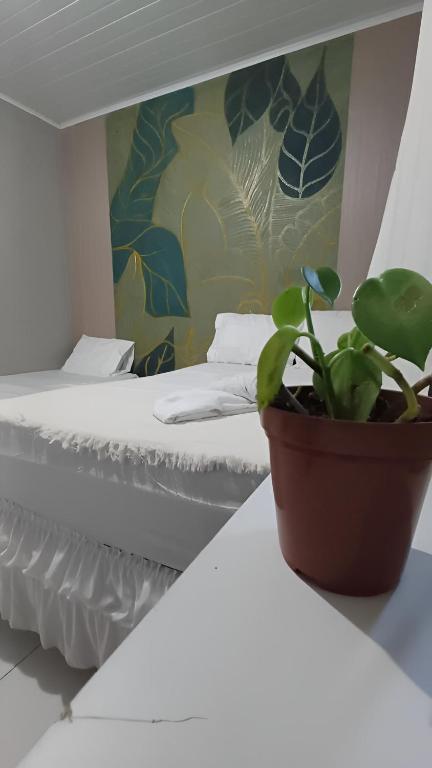 a potted plant sitting on a table next to a bed at Quarto Aconchego Nordestino in Aracaju