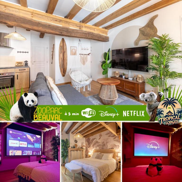 a collage of photos of a living room and a kitchen at Le Coconut 5 min du Zoo Beauval in Saint-Aignan