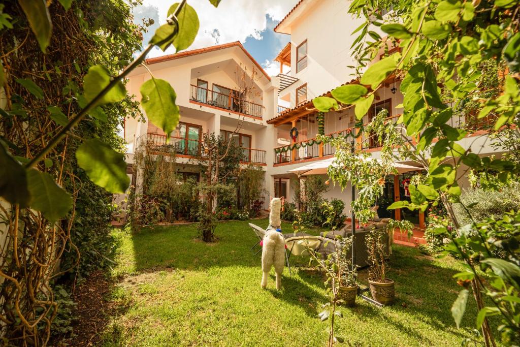 a dog standing in the yard of a house at Saska Boutique Hotel in Cusco