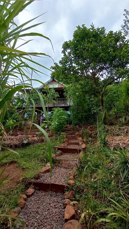 a path with rocks and a tree and a building at Cabaña Agustina in El Soberbio