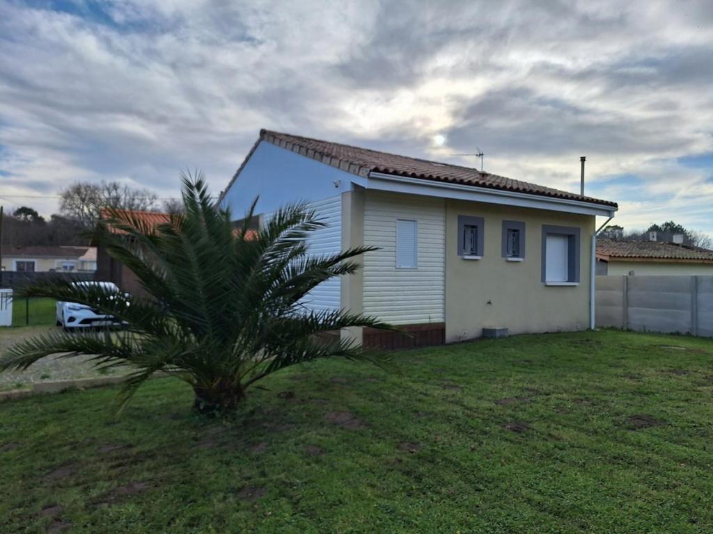 Petite maison في Queyrac: منزل أبيض صغير به شجرة نخيل في فناء