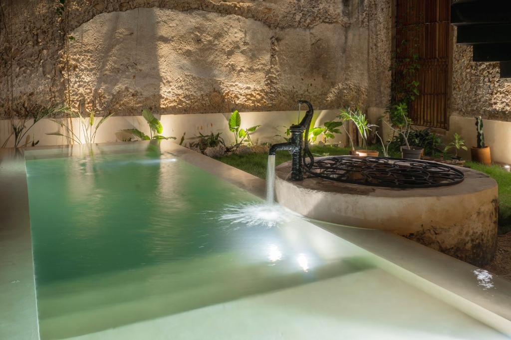 ein Swimmingpool mit einem Herd im Garten in der Unterkunft Cien Sueños Hotel Boutique in Mérida