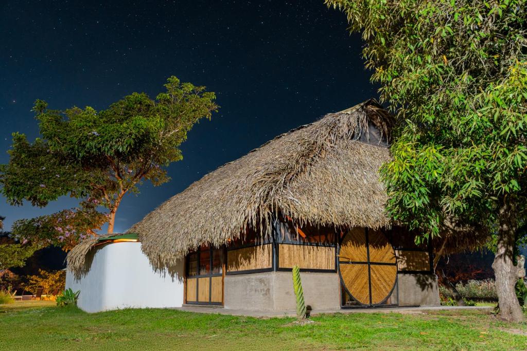 a hut with a thatched roof and a tree at WISIRARE ECOLODGE - Luxury experience in Yopal