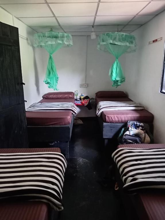 Cozy House Hostel - 11