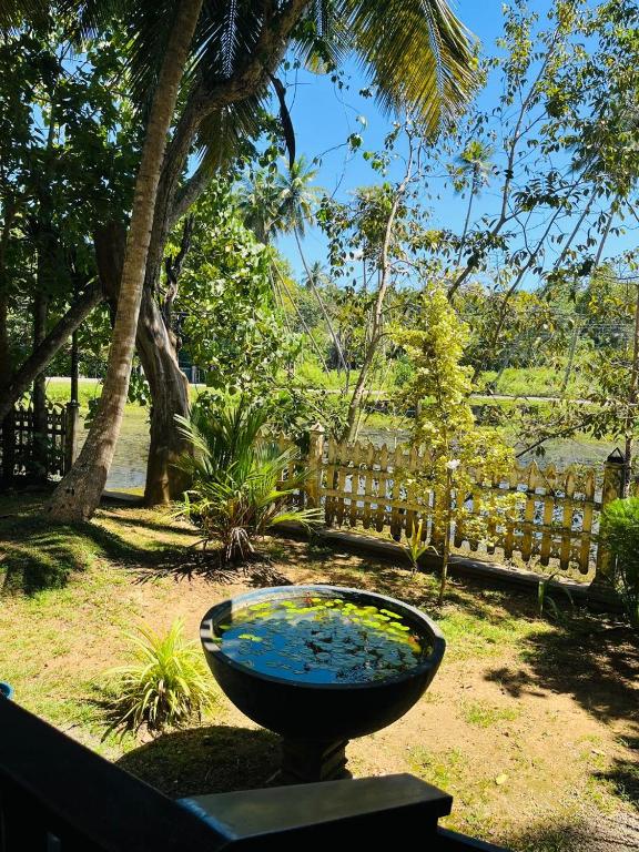 a bird bath in a yard with a fence at Moonlit serenity Tangalle in Tangalle