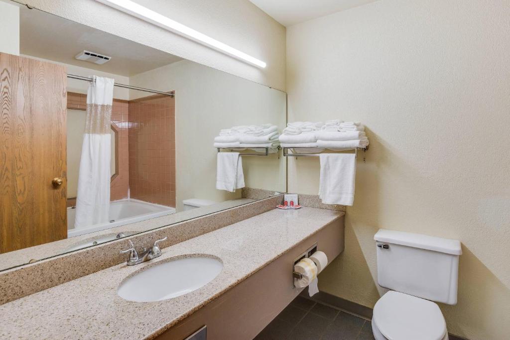Econo Lodge Whitehall near Michigan's Adventure photo
