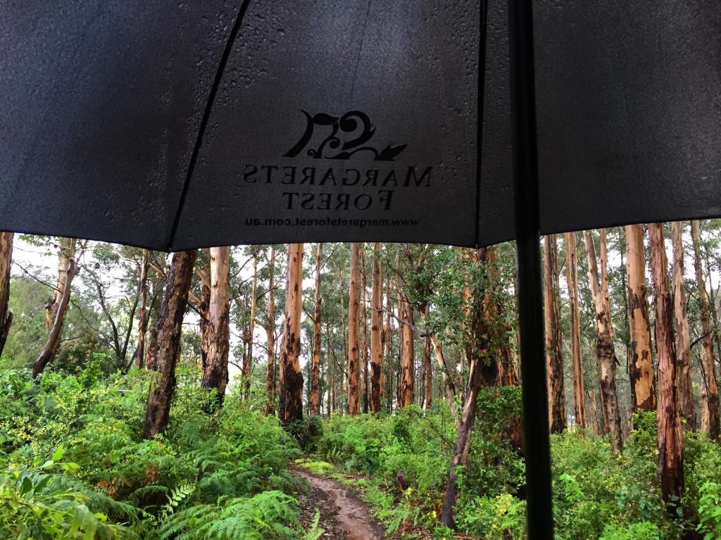 a black umbrella in front of a forest of trees at Margarets Forest in Margaret River Town