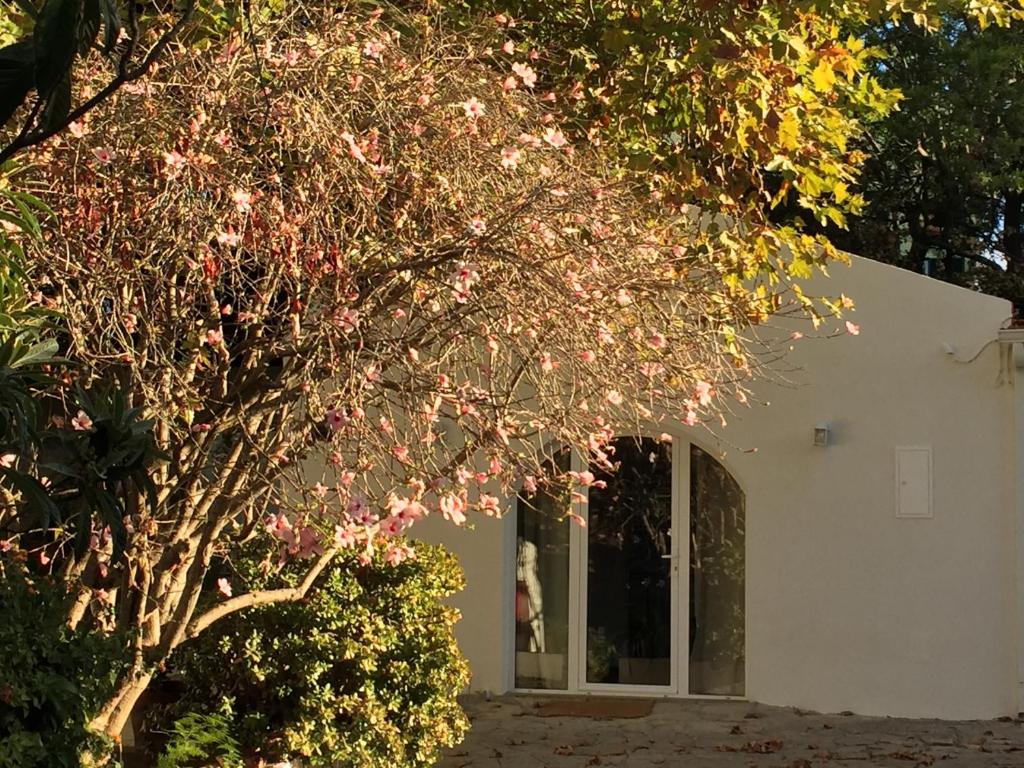 uma árvore com flores cor-de-rosa em frente a um edifício em Casa do Hibisco em São João do Estoril