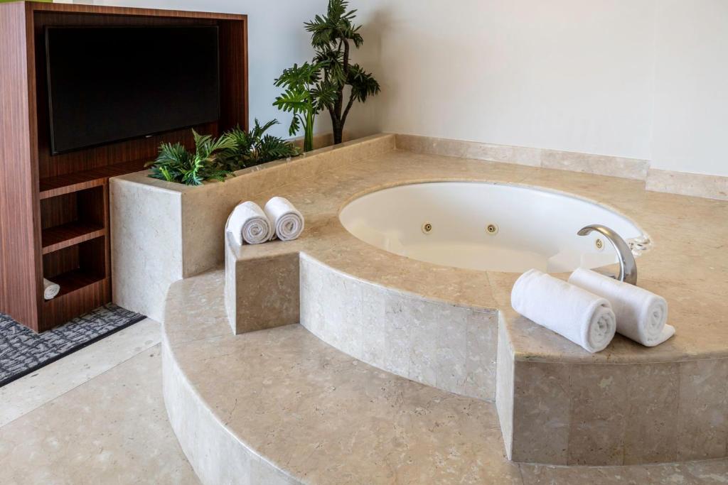 Holiday Inn Mexico City - Trade Center by IHG - One-Bedroom King Suite