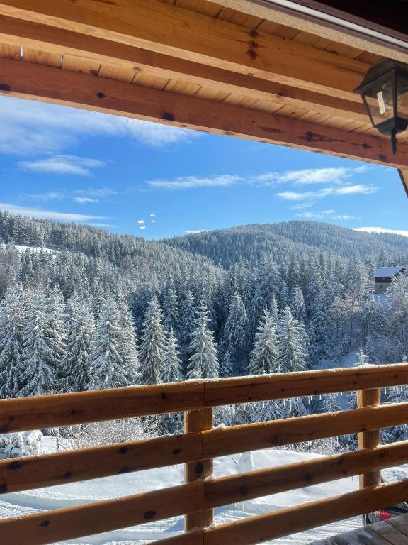 a view of a snow covered forest from a cabin window at The Tara Concept in Šljivovica