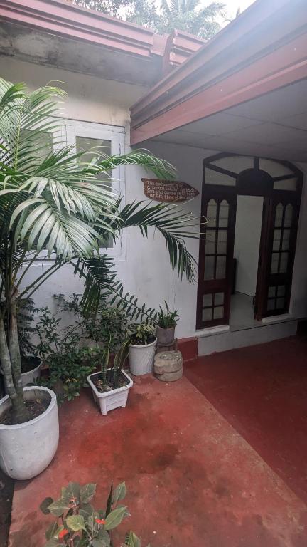 a house with a palm tree in a courtyard at Bird Park Villa Ella in Ella