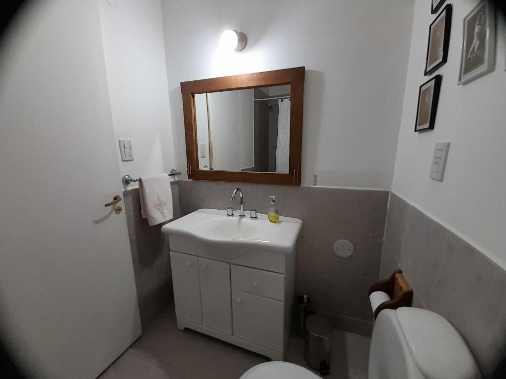 a bathroom with a sink and a toilet and a mirror at Flores del bosque in Ushuaia