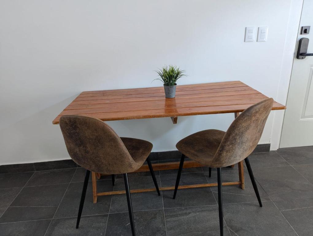 a wooden table with two chairs and a plant on it at EstudioSuite Martinica Wifi Poliforum in Sofía