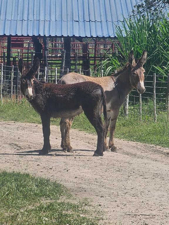 Tamboti Farm Camp Sites